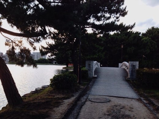 I'm in love with Japanese bridges!! Ōhori park details. 
