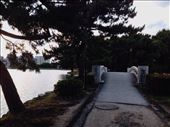 I'm in love with Japanese bridges!! Ōhori park details. : by nickyb, Views[263]