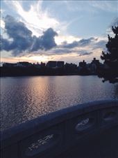 by nickyb, Views[265]