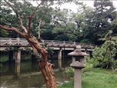 Itsukushima-jinja Shrine located inside the Imperial Palace Park. Small, peaceful and intimate. : by nickyb, Views[230]