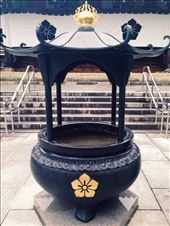 by nickyb, Views[159]