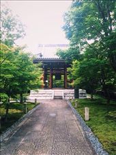 by nickyb, Views[173]