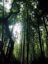 by nickyb, Views[174]