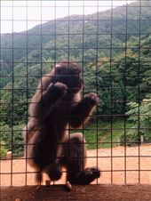 by nickyb, Views[175]