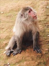 by nickyb, Views[135]