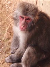 by nickyb, Views[148]