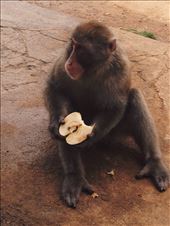 by nickyb, Views[177]