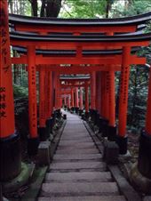 by nickyb, Views[174]