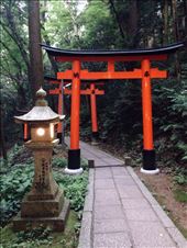 by nickyb, Views[166]