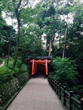 by nickyb, Views[178]