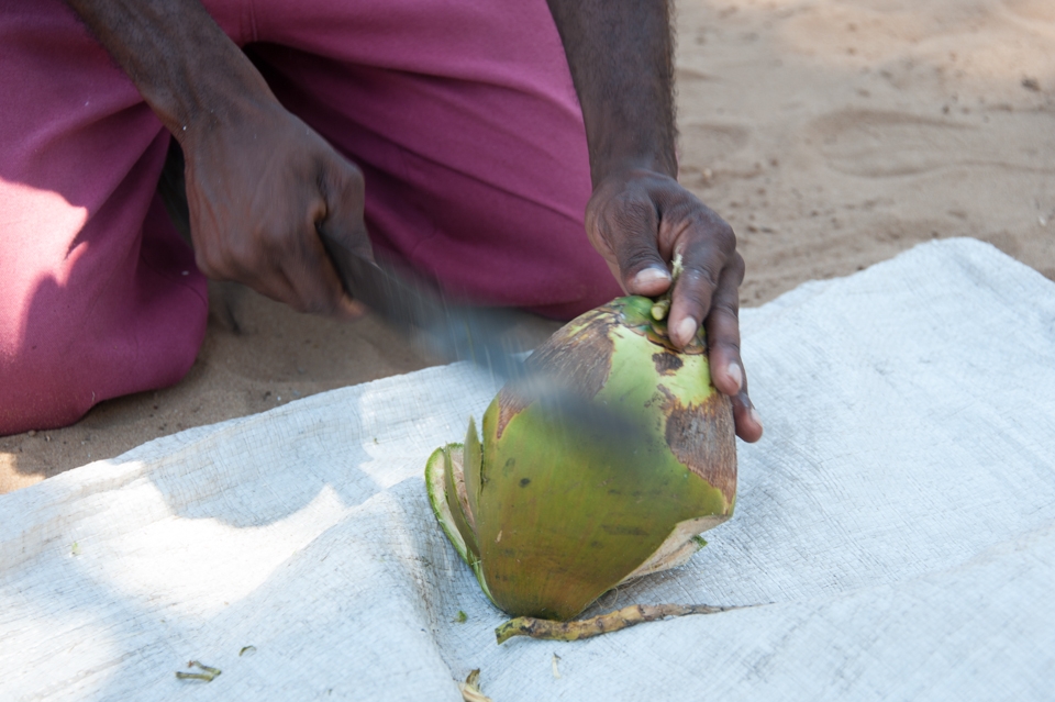 Hacking away.

Years of experience baying off, in a matter of seconds he has shelled the first coconut so we can taste the sweet coconut water which was greatly appreciated as it was incredibly hot.