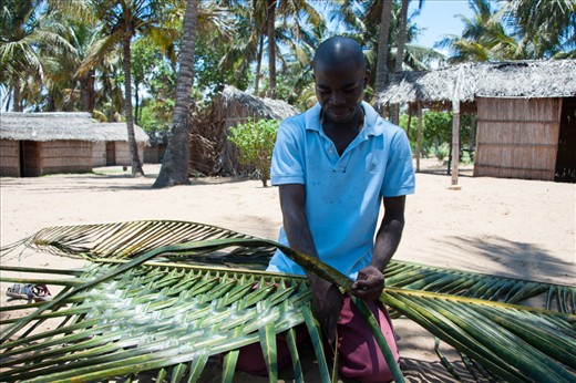 Art of weaving.

After splitting the palm leaf into two he demonstrate the weaving which is used as the roof for the houses in the background. The individual leaves stay in place by breaking the spine of the leaf. It’s a cost effective as is lasts for a number of years.
