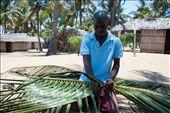 Art of weaving.

After splitting the palm leaf into two he demonstrate the weaving which is used as the roof for the houses in the background. The individual leaves stay in place by breaking the spine of the leaf. It’s a cost effective as is lasts for a number of years.: by nickyblue78, Views[1580]