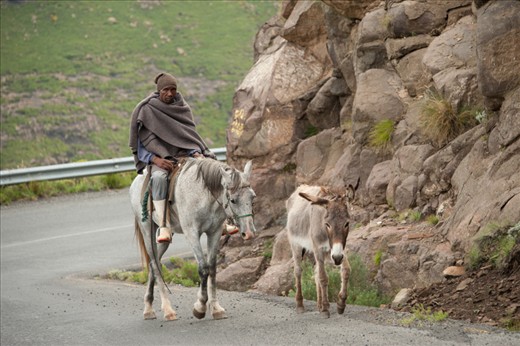 Follow the Leader. The donkeys do most of the hard work, this section of the road is one of the steepest in Lesotho and he is following his owner on a horse.