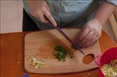 Green onions add a crunch to nasi goreng, an Indonesian fried rice: by nicobuholzer, Views[307]