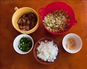 The essential ingredients (minus the rice) to create nasi goreng: by nicobuholzer, Views[309]