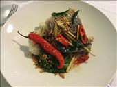 Finished dish 1: by nicolainsrilanka, Views[222]