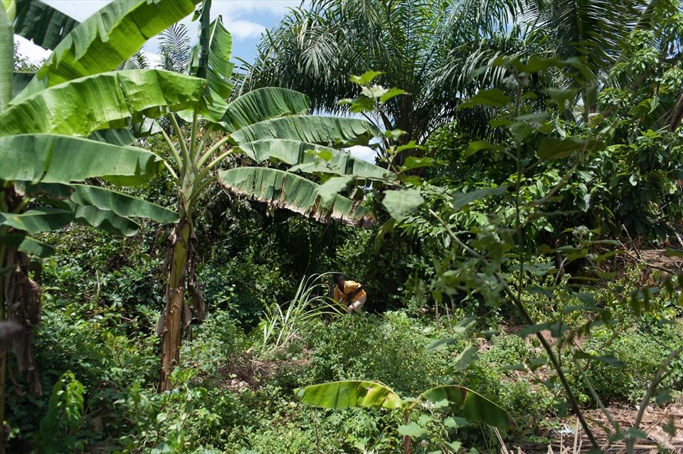 A guy collects the necessary to start a fire in a rural village in Ghana