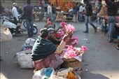 The lotus flower is the national flower of India.  Here it is being sold in the markets of the Old City of Ahmedabad in the state of Gujarat in western India. The lotus flower is in many ways emblematic of ancient Indian mythology and symbolises purity despite growing in unclean conditions. The language barrier does not disguise the optimistic spirit of the Indian culture epitomised by the lotus.: by nicolecrouchdesigns, Views[2539]
