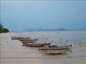 Peaceful on Koh Yao Yai Island : by nicomaree, Views[231]