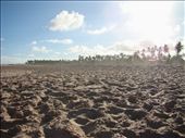 Storm in the FootSteps
One of the Morro de São Paulo’s beaches. The beach was already deserted for the day. I was taken by the energy and the mood of the view: the turned sand, the warm wind and the light reflecting from the sand. 
: by nijkusia, Views[368]