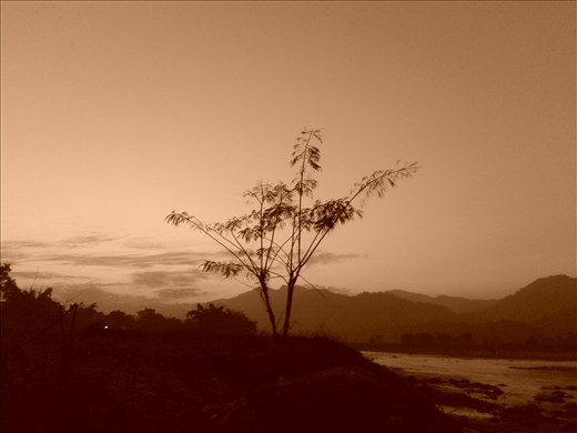 Evening walk to the riverside.