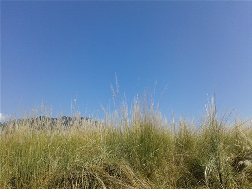 The silent blue sky is an inspiration as we can see the sky is the limit