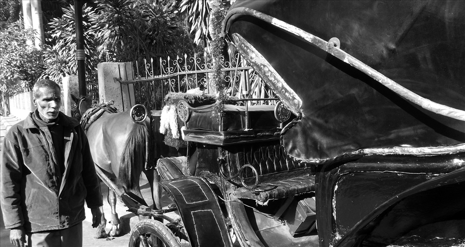 4. i was correct i found HANDS driving humble carts for tourists for few pounds/day