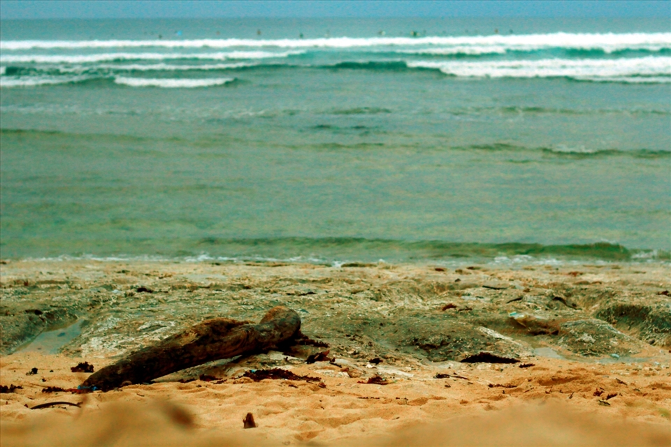 Things fell into the right place at the right time even in its oddest form. Everything went smoothly like the harmony of the Pacific waves.