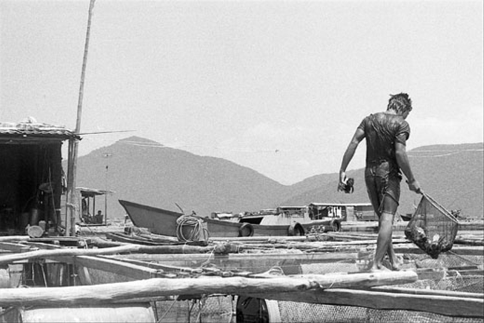 A diver carries his days catch to the transport boat