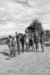 Maasai warrior dancing: by nikmcgrath, Views[306]