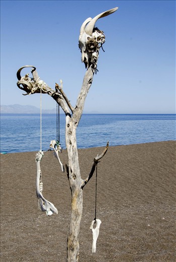 Like every shelter needs a flag and every house needs an emblem...