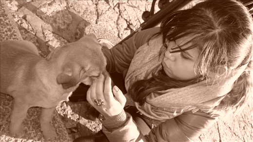 But even abandoned dogs can be loved in Sarajevo