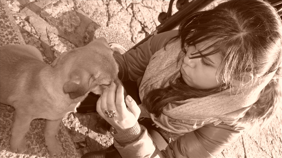 But even abandoned dogs can be loved in Sarajevo