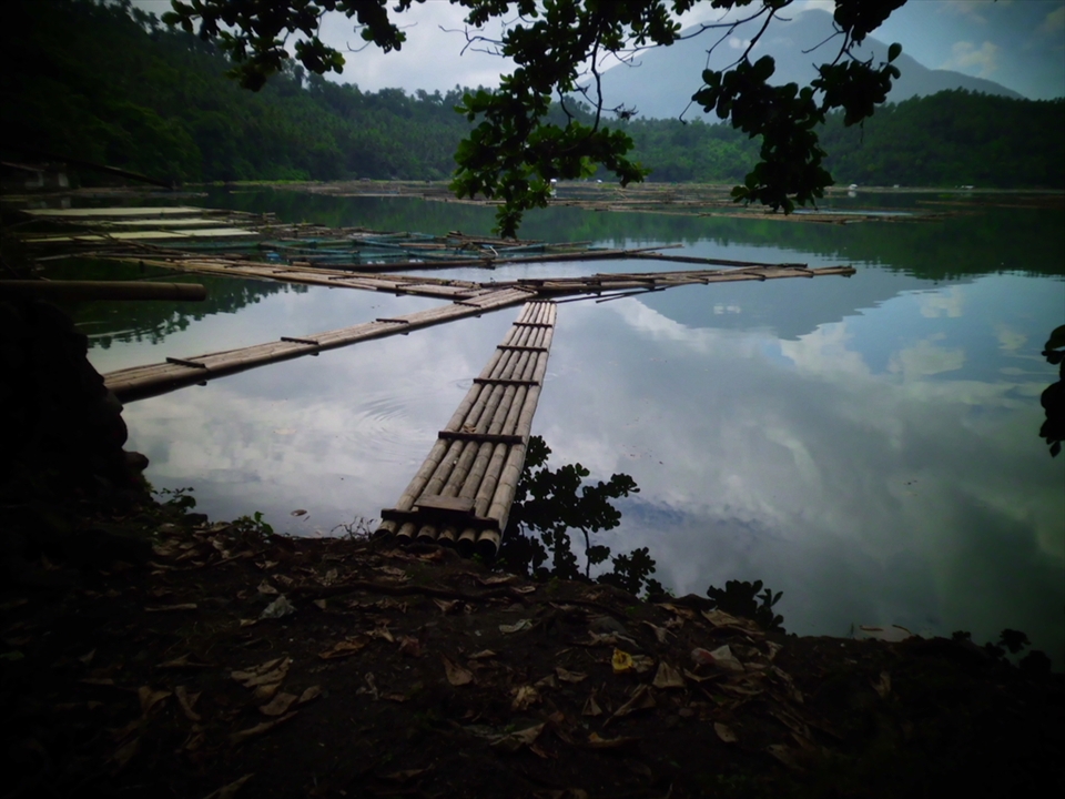 Bamboo rafts parked with no parking fees.