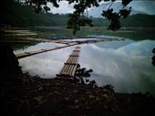 Bamboo rafts parked with no parking fees.: by nineintervals, Views[271]