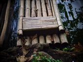 Your throne of hardwork. Maintaining a balance can be difficult.: by nineintervals, Views[226]