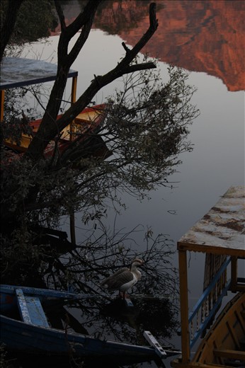 A walk by the lake - Naukuchiatal,Uttarakhand