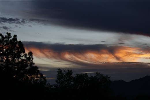 Prayers heard - Jilling Estate, Uttarakhand