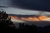 Prayers heard - Jilling Estate, Uttarakhand: by nirajsharma, Views[389]