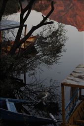 A walk by the lake - Naukuchiatal,Uttarakhand: by nirajsharma, Views[240]