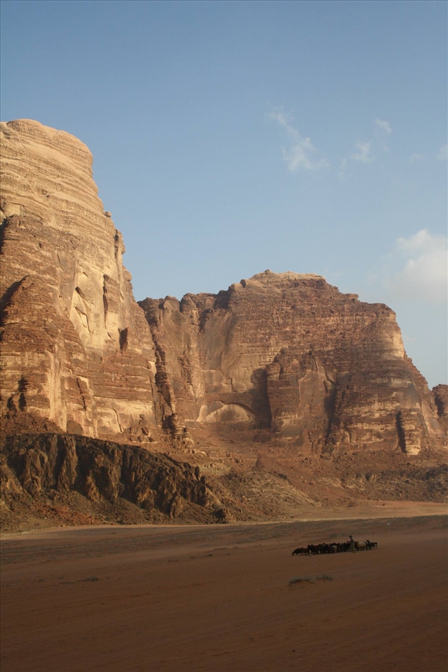 Desert goats and shepherd 