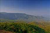 Nestled amongst the Western Ghats is 'Agumbe', called the 'Cherrapunji of South India' it is the land of the King himself, King Cobra. It is also a bio-diversity hot-spot.
: by nitinv29, Views[1095]