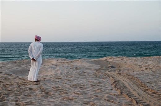 A guide at looks on as a green turtle maneuvers through a decoy hole on the beach. After the turtles lay their eggs and bury them beneath the sand, they dig a second hole to camouflage the original nest and protect it from predators.