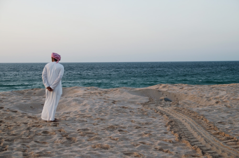 A guide at looks on as a green turtle maneuvers through a decoy hole on the beach. After the turtles lay their eggs and bury them beneath the sand, they dig a second hole to camouflage the original nest and protect it from predators.