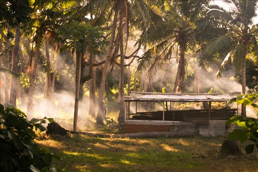 Sunlight through smoke by the work shed
