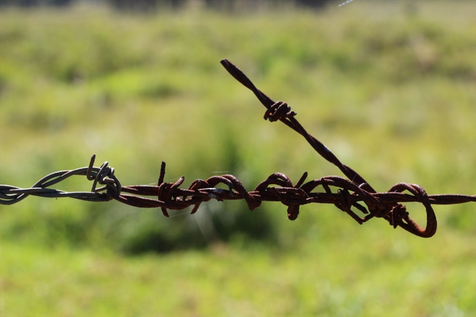 The fences that hold us in.
Was this barbwire built to hold us in or keep others out? Is its intent to hurt us with its sharp edges if we cross? Why does what could hurt some act as a refuge for those who build their webs inside of it? Why is the grass always greener on the other side? Perhaps we need to look down at our own feet at where we stand...