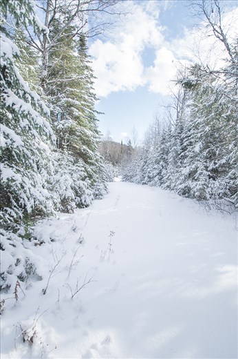 Trail road covered over from last night snow storm