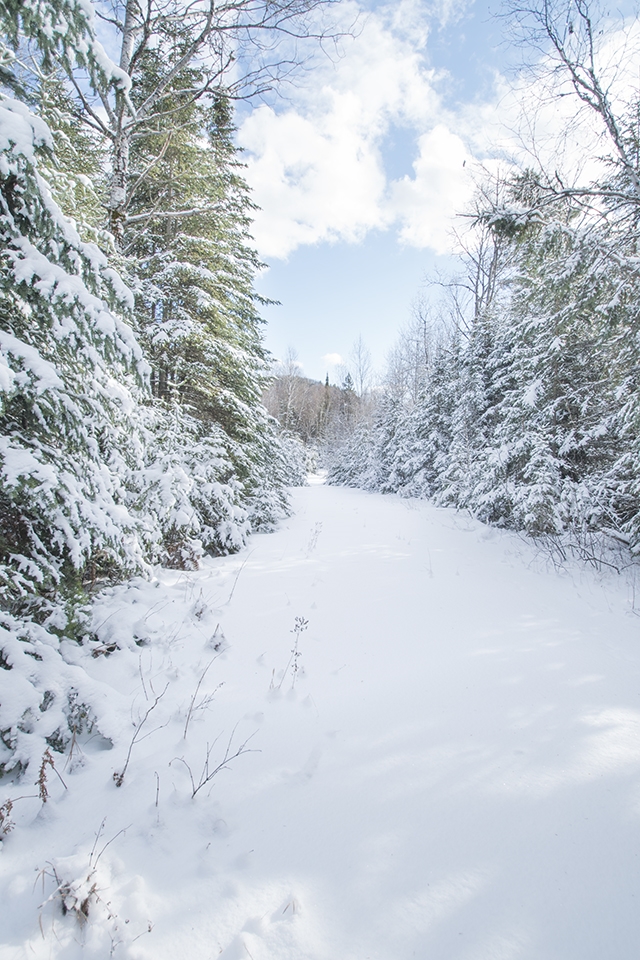 Trail road covered over from last night snow storm