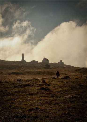The Walk Up - Cape Spear